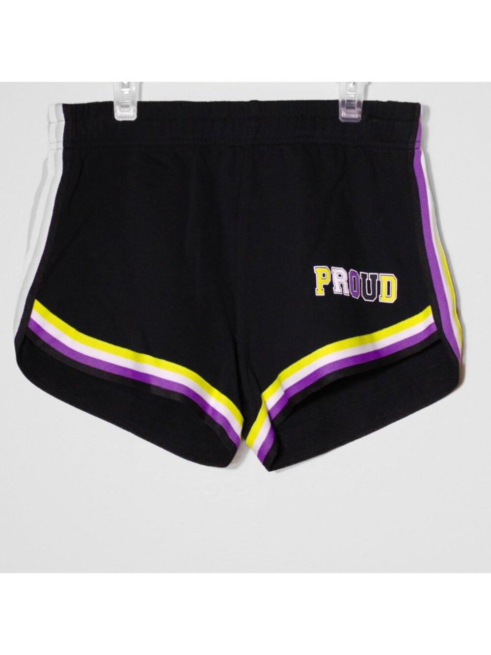 BodyRage Dolphin Retro Striped Shorts Pride ENBY Proud Non-binary Sizes M & 1X